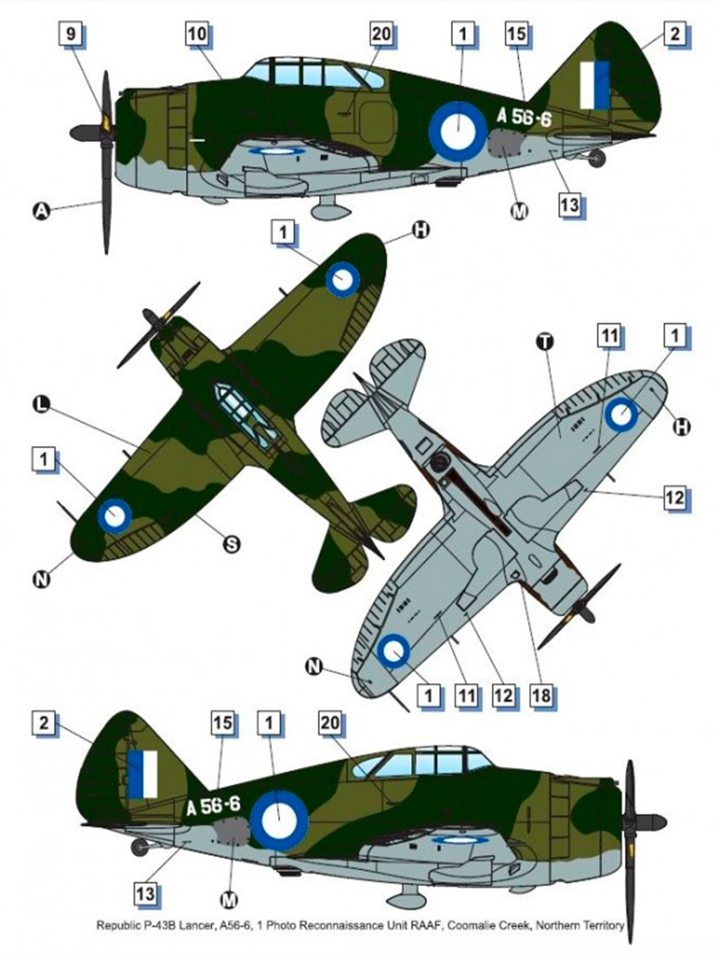 Dorawings DW72029 Republic P-43 Lancer (reconnaissance) - 1/72 scale model construction kit