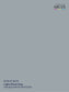 579 FS 36375 Light Ghost Gray