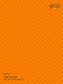 009 Clear Orange